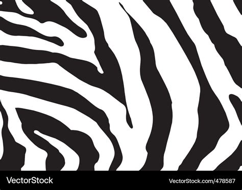 Image result for Zebra Print