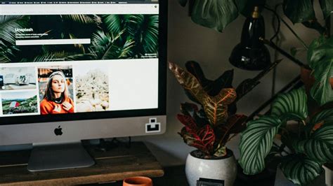 Image result for Image Search Using