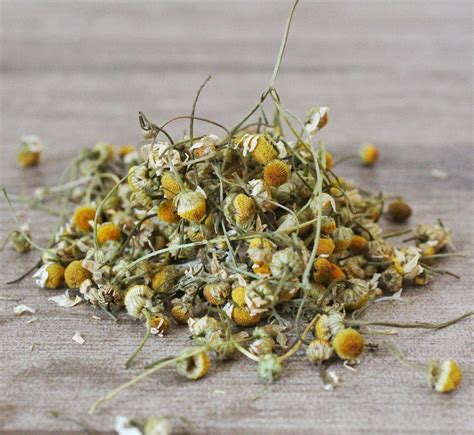 Chamomile Tea: Benefits, Uses, Side Effects & How to Drink It — A Hima ...