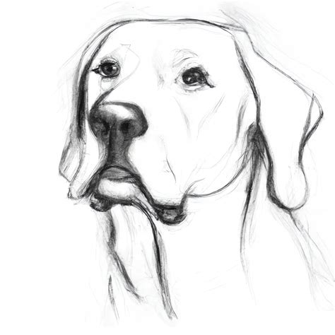 Animals Pencil Drawing - Etsy