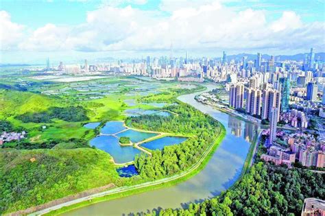 從深圳河看改革開放 由掩鼻而過到雀鳥天堂 | 改革開放 | 專題系列 | 當代中國