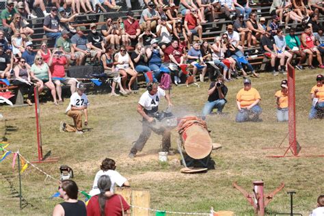 Image result for Logging Shows