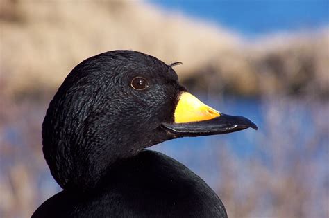 Ocean Salinity Explained 的图像结果