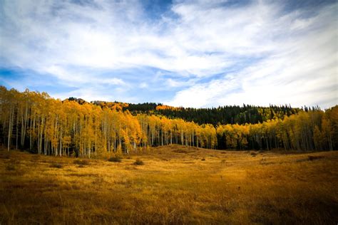 2025 Guide to See Colorado's Best Aspens Fall Colors — Colorado Hikes ...