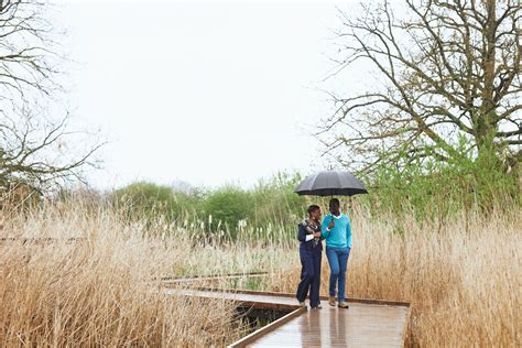 Marriage Tutorial 的图像结果