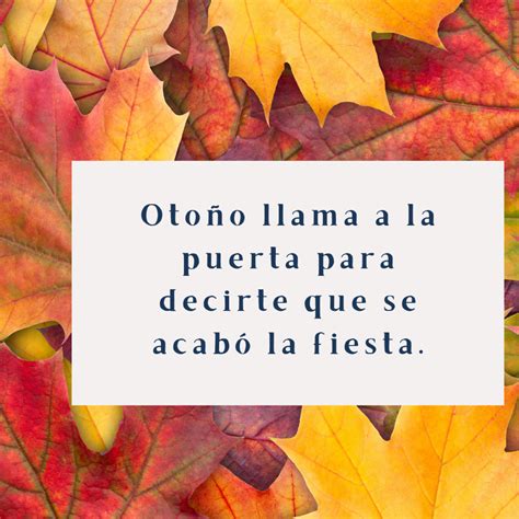 40 frases motivadoras y divertidas para dar la bienvenida al otoño