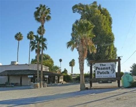 They really do put the Yum in Yuma - Reviews, Photos - The Peanut Patch ...