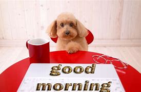 Image result for good morning dogs