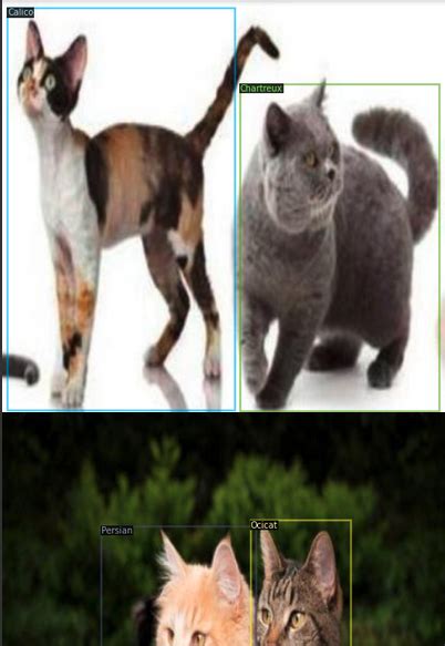 Image result for Jsondetective Tutorial