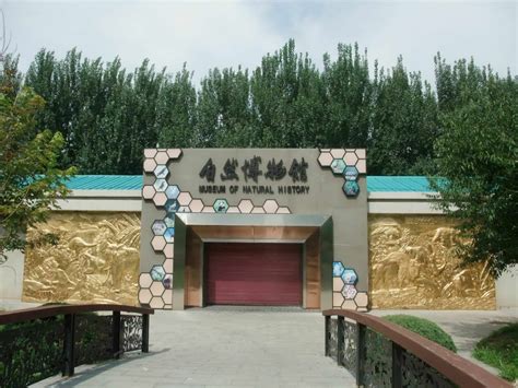 沈阳大学自然博物馆可以免费参观了！一周开放几天进来看！