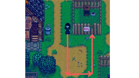Secret Note 20 Walkthrough and Solution in Stardew Valley