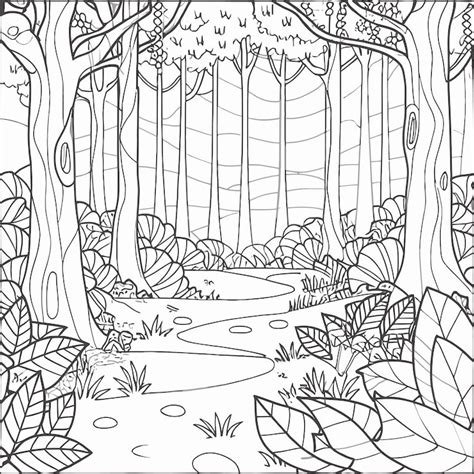 Immagini di Bosco colorare - Download gratuiti su Freepik