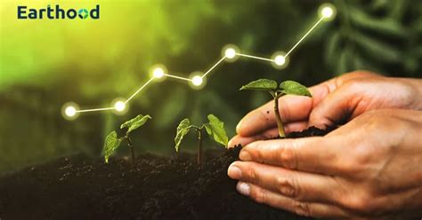 Earthood Expands Global Impact in Carbon Credit Verification for ...