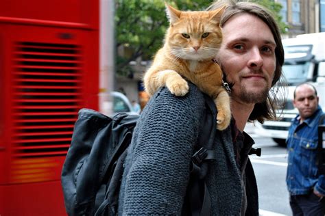 流浪猫鲍勃(A Street Cat Named Bob)-电影-腾讯视频