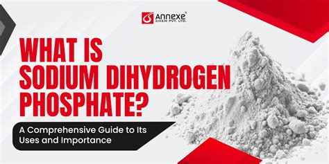 Magnesium Sulphate Dried: Everything You Need to Know for Industrial ...