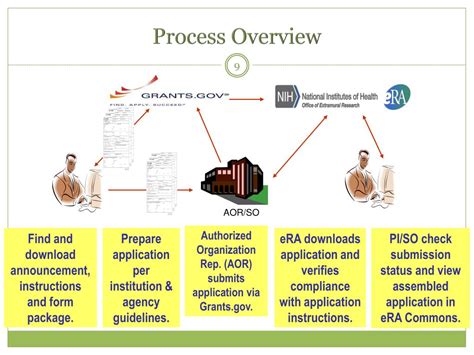 Program Application Sample PDF 的图像结果