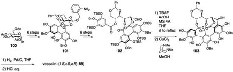 Structural Revisions in Natural Ellagitannins