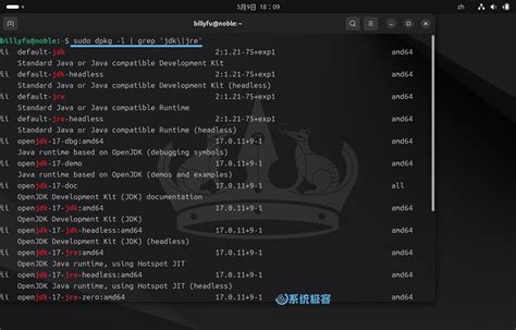 Ubuntu Install Java 的图像结果