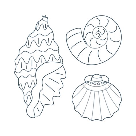 Shell 的图像结果