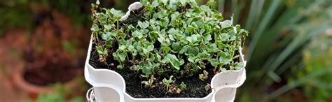 Macrogardens Macrotower - Vertical Hydroponics (32 Plants ...