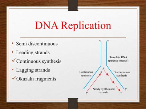 Image result for Replication Script
