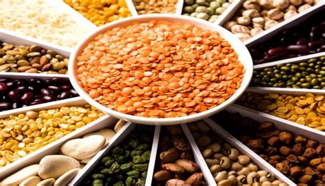 3 Major Side Effects of Sesame Seed or Oil - lifeberrys.com