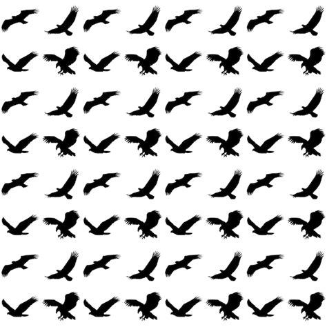 Image result for Hawk Pattern