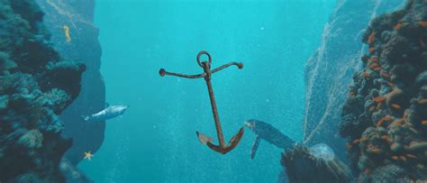 Image result for Collage Animation Tutorial After Effects