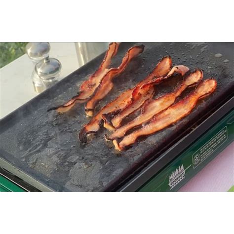 Mr. Outdoors Cookout 2-Burners Propane Push and Turn Steel Outdoor ...