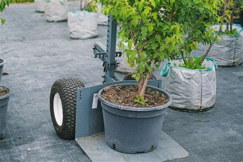 Image result for Types of Plant Containers