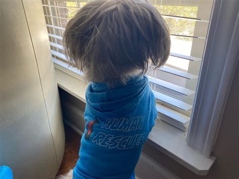 Kelvin Reynolds | The Velvet Spoon hosted a ribbon cutting ceremony ...