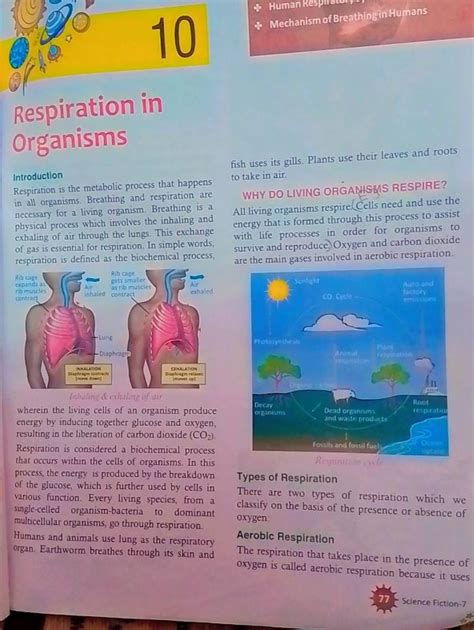 10&. Mechanism of Breathingrin HumansRespiration inOrganisimsIntrodu..
