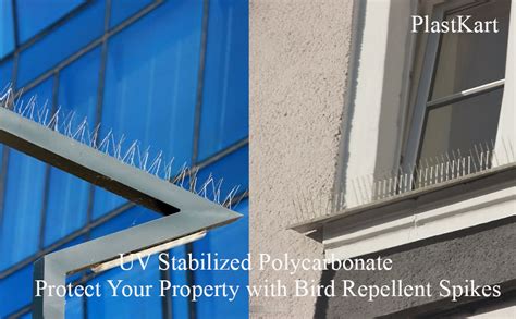 Bumper Discount Set of 10 PlastKart Bird Spikes Pigeon Spike Spikes ...