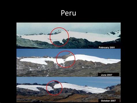 Conservative Movement Examples 的图像结果