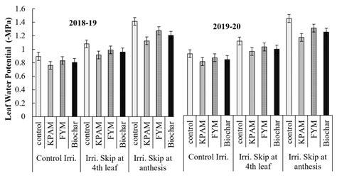 The Use of Soil Conditioners to Ensure a Sustainable Wheat Yield under ...