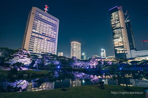 Japan Tokyo Tower 的图像结果