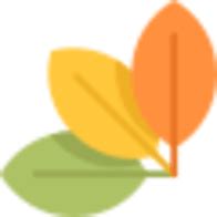 Image result for Rapidoc Open API