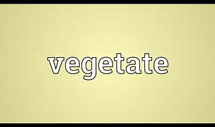 Image result for Vegetate