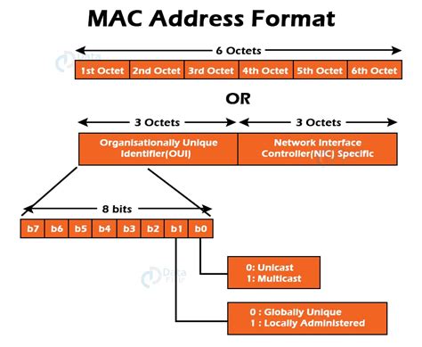 Image result for Mac Address Example