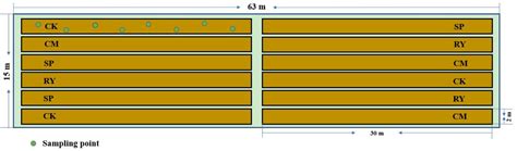 Phytoremediation of Secondary Salinity in Greenhouse Soil with ...