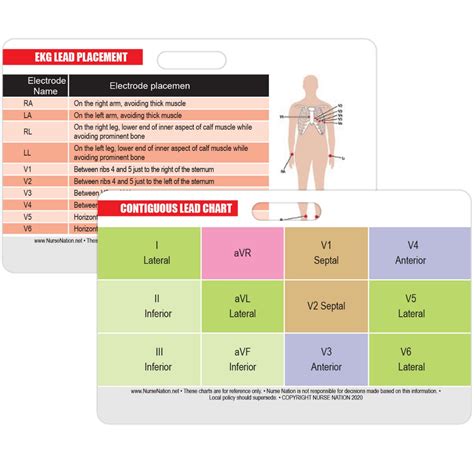 Ekg Placement Mastering 12 Lead ECG Placement
