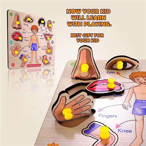 Wooden Human Body Parts Name and Picture Puzzle Board Assembly Body ...