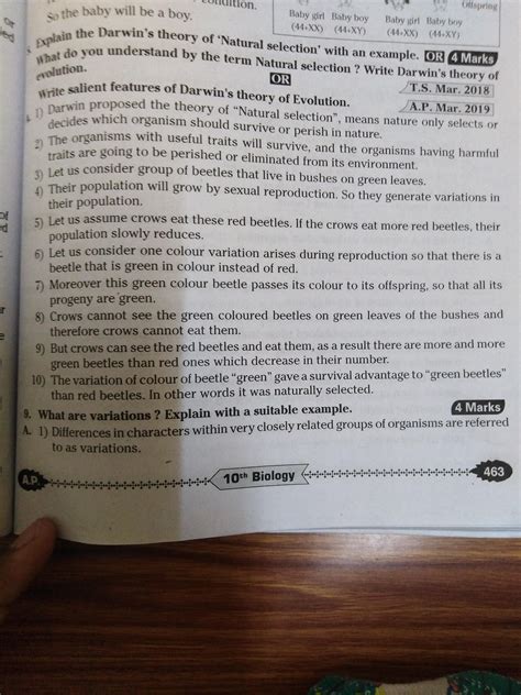 Write any one answer like 4 marks question please please fast - Brainly.in