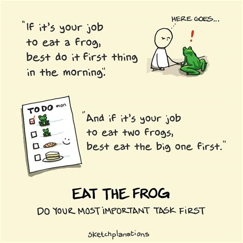 7 Brainy and Important Reasons to “Eat the Frog” Every Morning ...