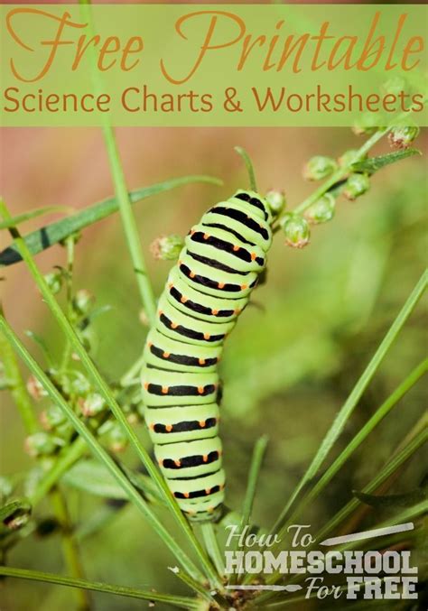 Image result for Science Project Charts Papper Set PDF