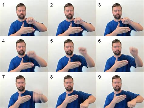 Image result for Semester Sign Language