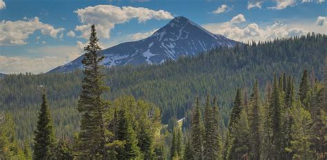 How to Use Onxmaps 的图像结果