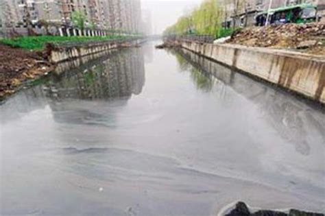 天津：大力推进水生态修复 年底全市域基本消除黑臭水体_新浪天津_新浪网