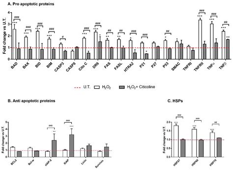 Citicoline Eye Drops Protect Trabecular Meshwork Cells from Oxidative ...