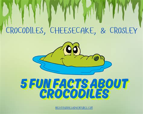 Crocodiles, Cheesecake, and Crosley: 5 Fun Facts About Crocodiles ...